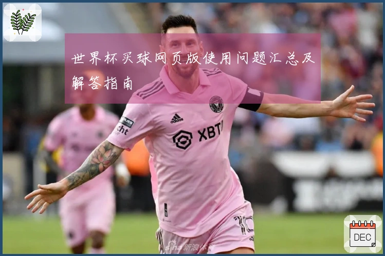 世界杯买球网页版使用问题汇总及解答指南