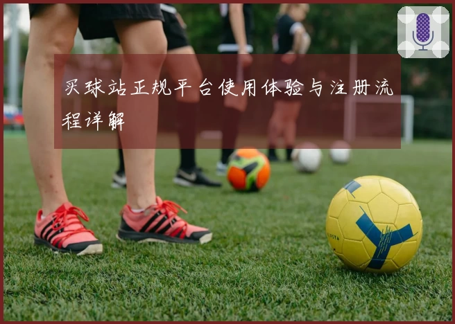 买球站正规平台使用体验与注册流程详解