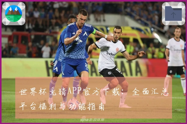 世界杯竞猜APP官方下载：全面汇总平台福利与功能指南