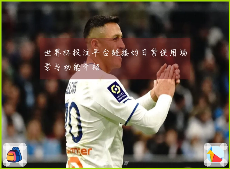 世界杯投注平台链接的日常使用场景与功能介绍