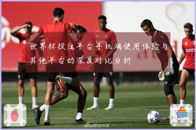 世界杯投注平台手机端使用体验与其他平台的深度对比分析