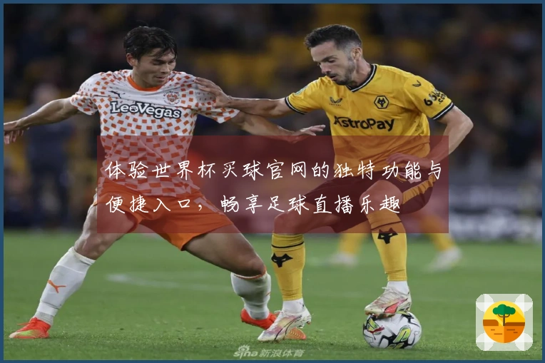 体验世界杯买球官网的独特功能与便捷入口，畅享足球直播乐趣