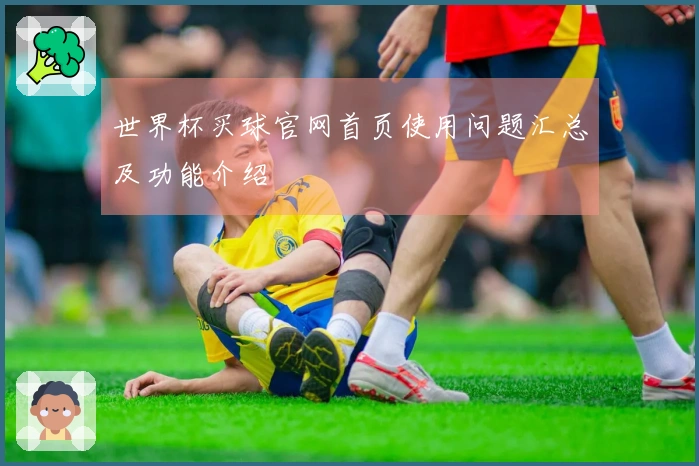 世界杯买球官网首页使用问题汇总及功能介绍