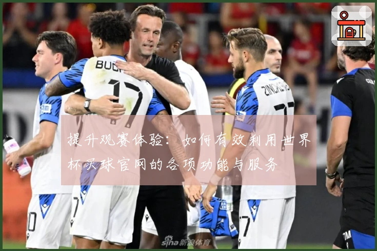 提升观赛体验：如何有效利用世界杯买球官网的各项功能与服务