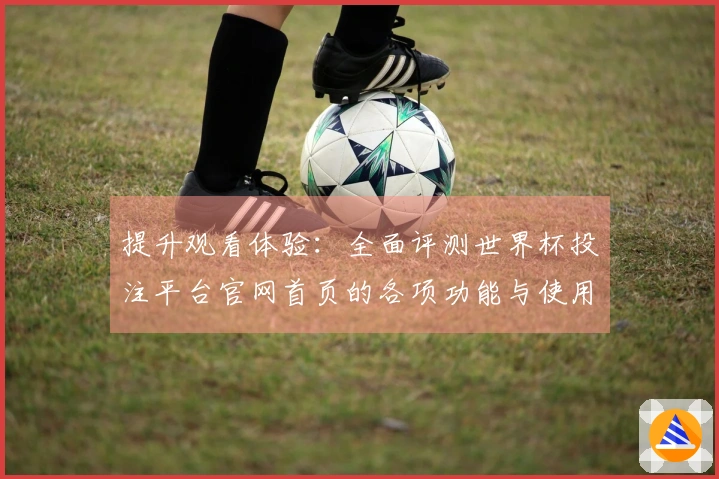 提升观看体验：全面评测世界杯投注平台官网首页的各项功能与使用指南