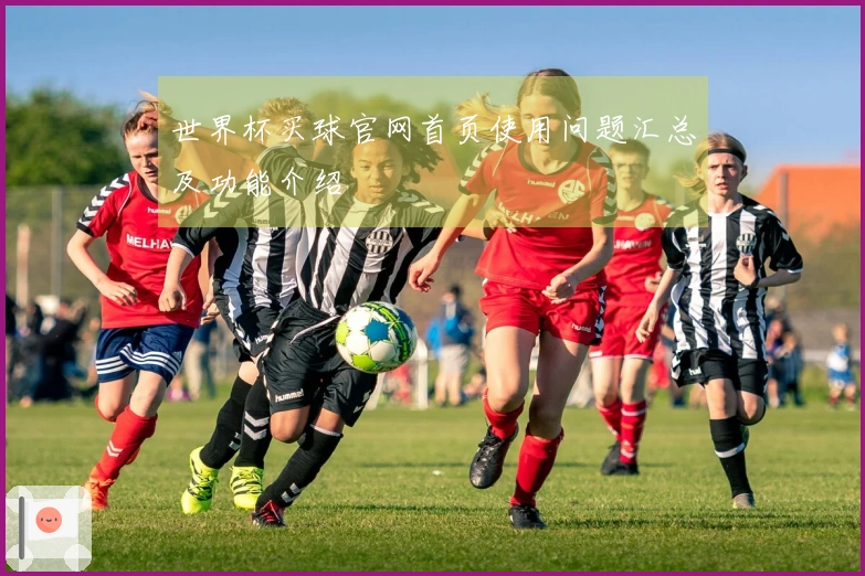 世界杯买球官网首页使用问题汇总及功能介绍