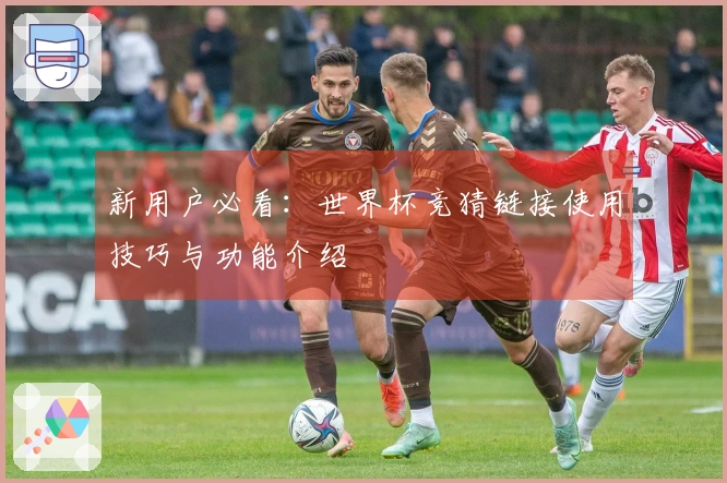 新用户必看：世界杯竞猜链接使用技巧与功能介绍