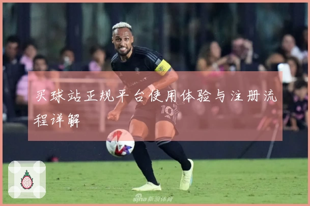 买球站正规平台使用体验与注册流程详解